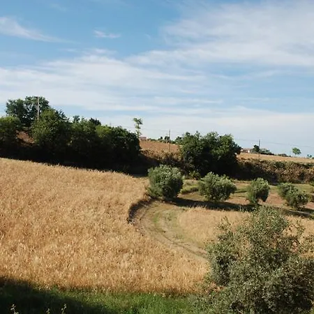 Briciola Di Sole * גרוטמארה